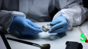 como trabajar de ayudante de forense