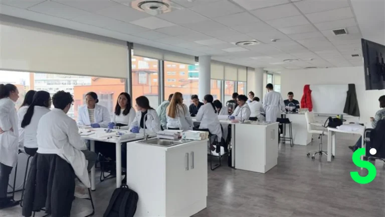 ¿Qué grados de formación profesional superior puedes estudiar Madrid?